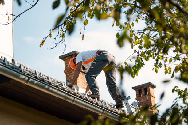 Best Roof Leak Repair  in Steger, IL