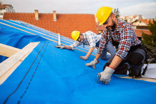 Roof Gutter Cleaning in Steger, IL