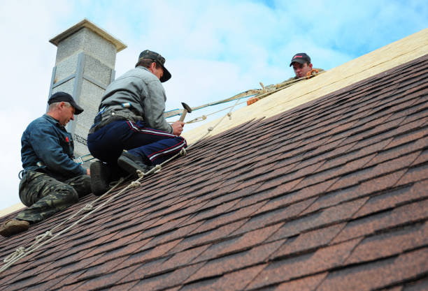 Quick and Trustworthy Emergency Roof Repair Services in Steger, IL